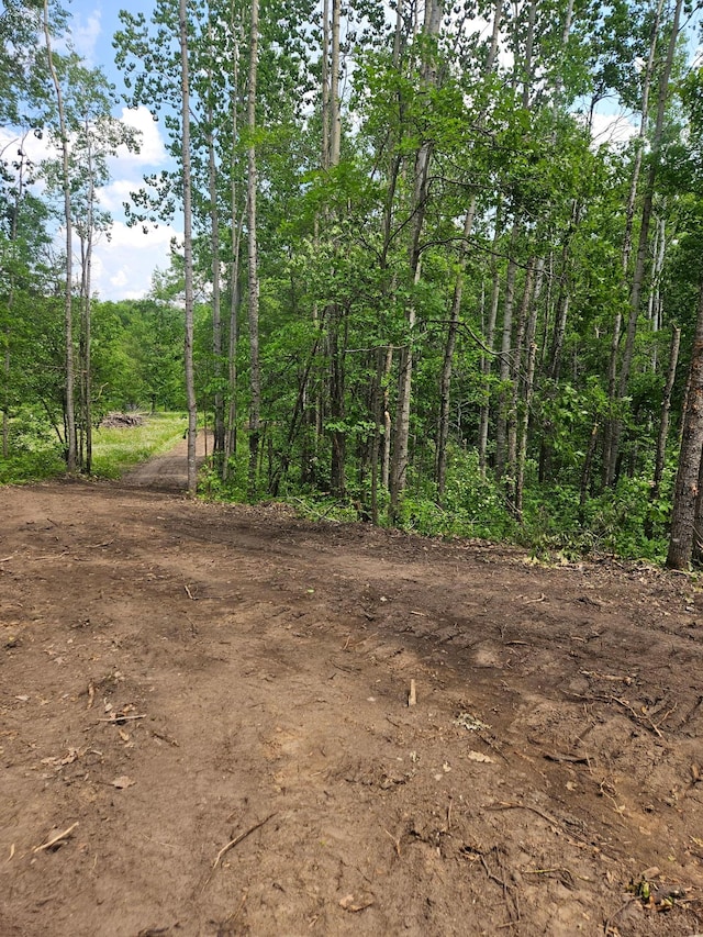 ParcelE Rogue Way, Ironton, MN 56455