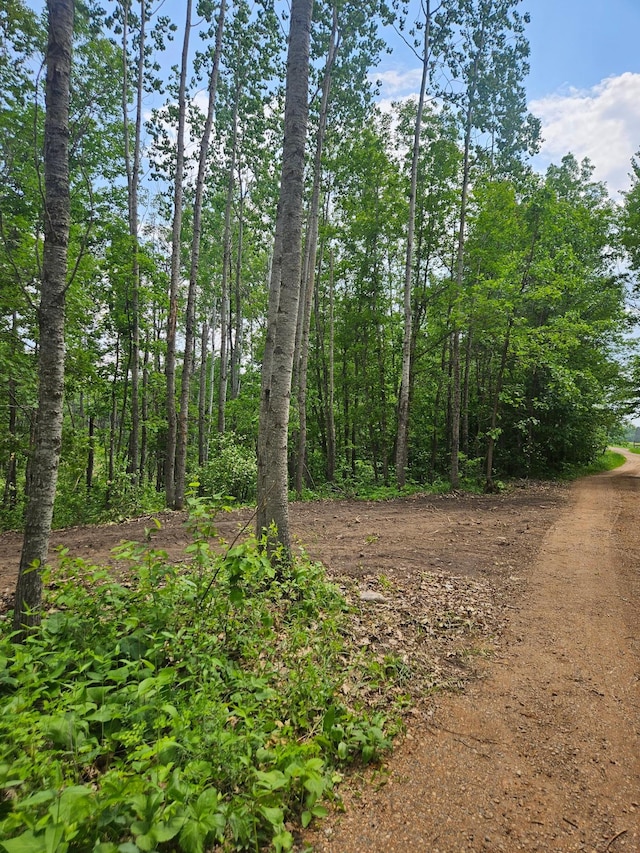 ParcelE Rogue Way, Ironton, MN 56455
