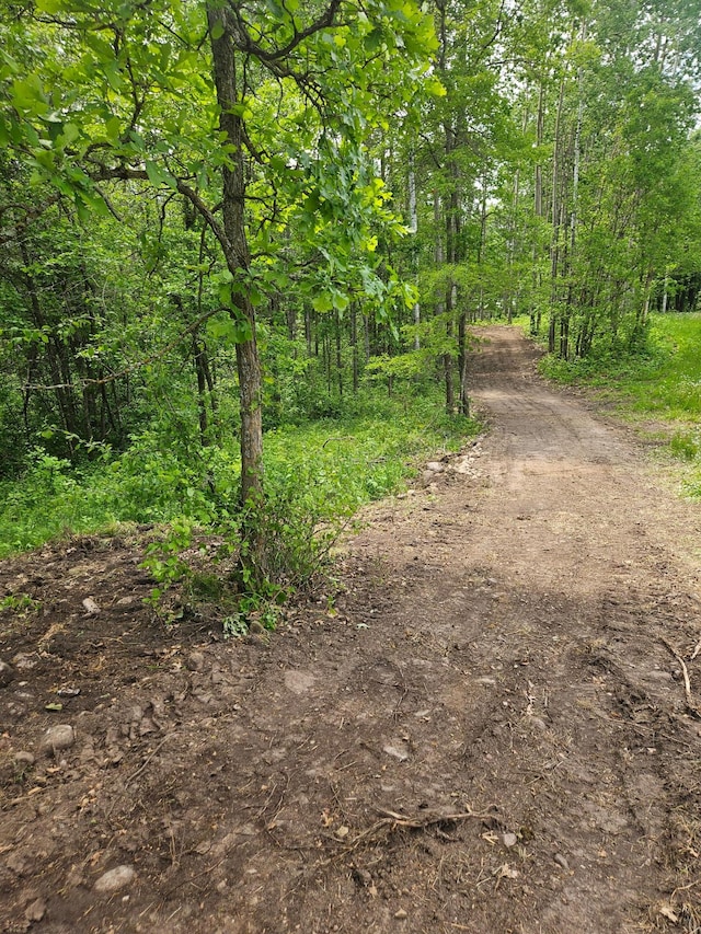 ParcelE Rogue Way, Ironton, MN 56455