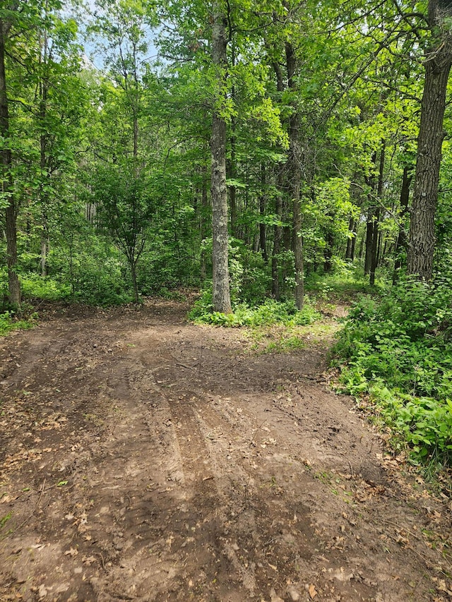 ParcelE Rogue Way, Ironton, MN 56455