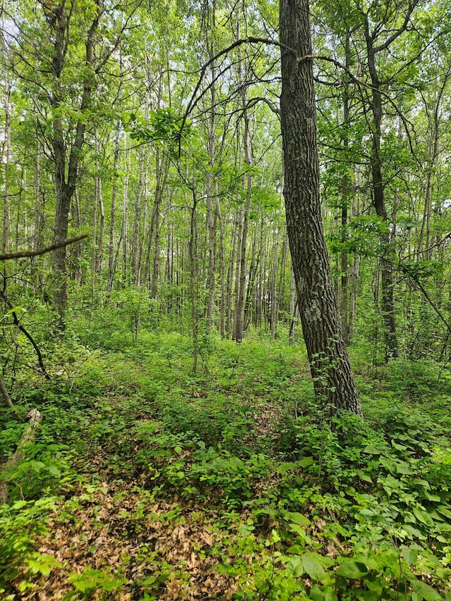 ParcelE Rogue Way, Ironton, MN 56455