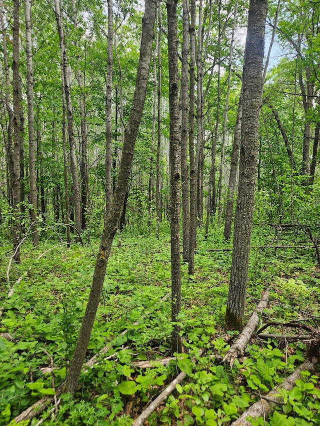 ParcelE Rogue Way, Ironton, MN 56455