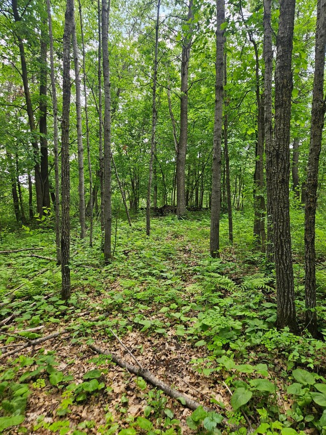 ParcelE Rogue Way, Ironton, MN 56455