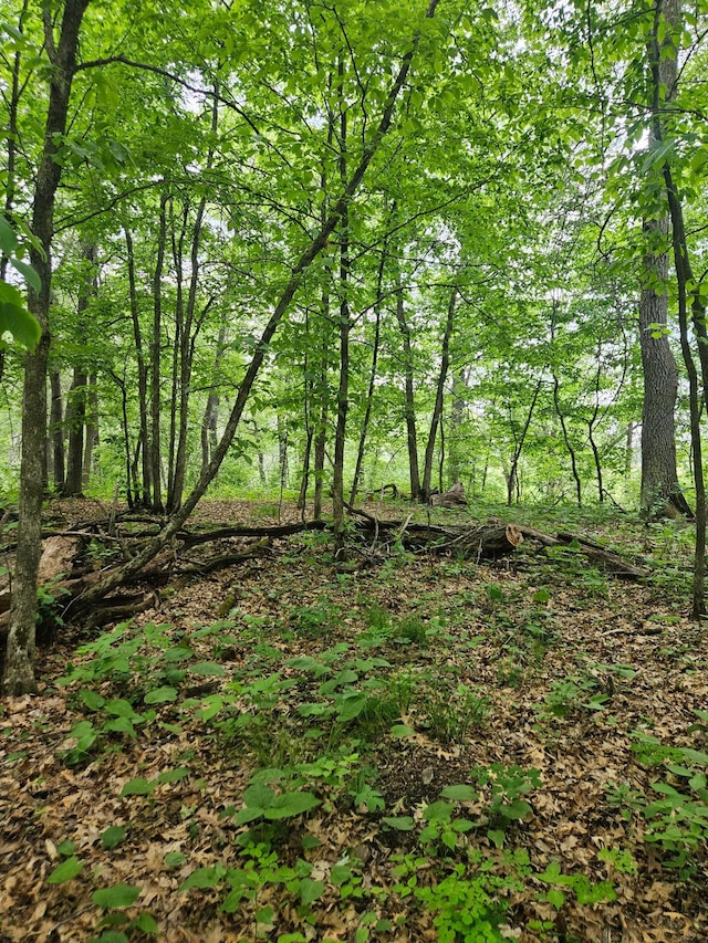 ParcelE Rogue Way, Ironton, MN 56455