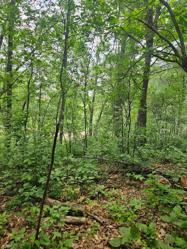 ParcelE Rogue Way, Ironton, MN 56455