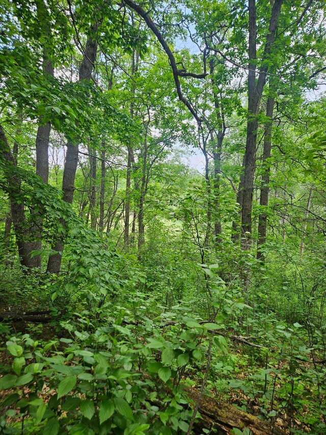 ParcelE Rogue Way, Ironton, MN 56455
