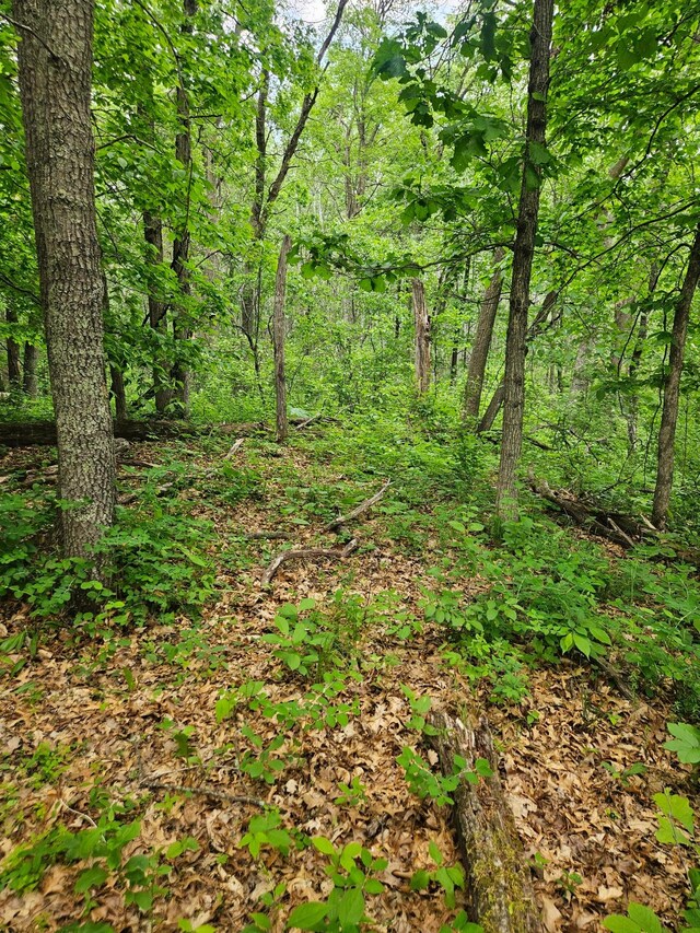 ParcelE Rogue Way, Ironton, MN 56455