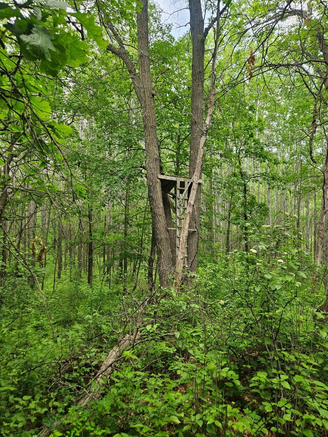 ParcelE Rogue Way, Ironton, MN 56455