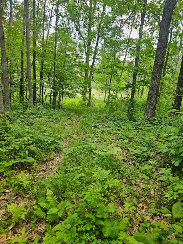 ParcelE Rogue Way, Ironton, MN 56455