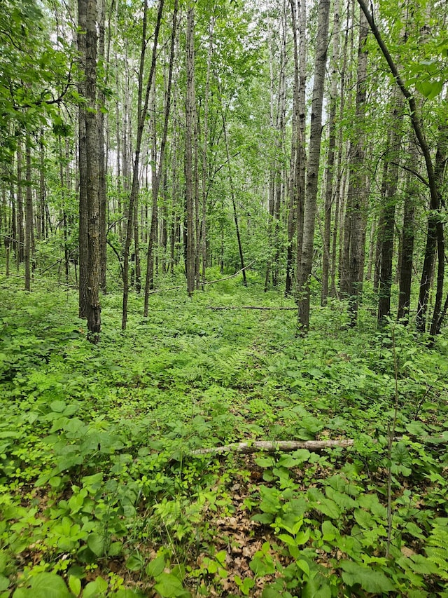 ParcelE Rogue Way, Ironton, MN 56455