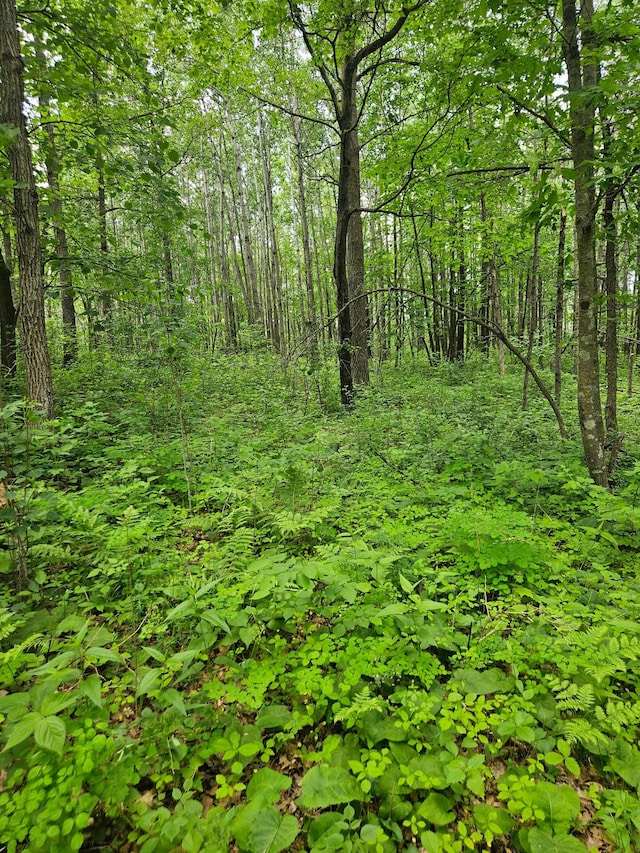ParcelE Rogue Way, Ironton, MN 56455