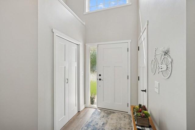 13362 Jefferson St, Becker, MN 55308 - foyer featuring a high ceiling and light wood-style flooring