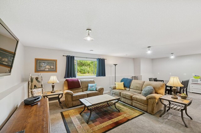 13362 Jefferson St, Becker, MN 55308 - carpeted living room with a textured ceiling