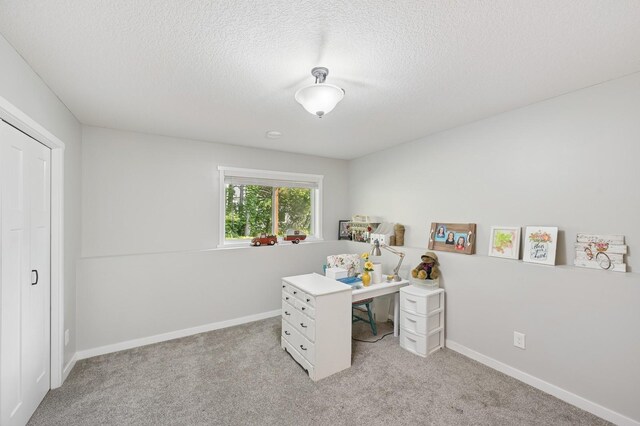 13362 Jefferson St, Becker, MN 55308 - home office featuring light carpet, a textured ceiling, and baseboards