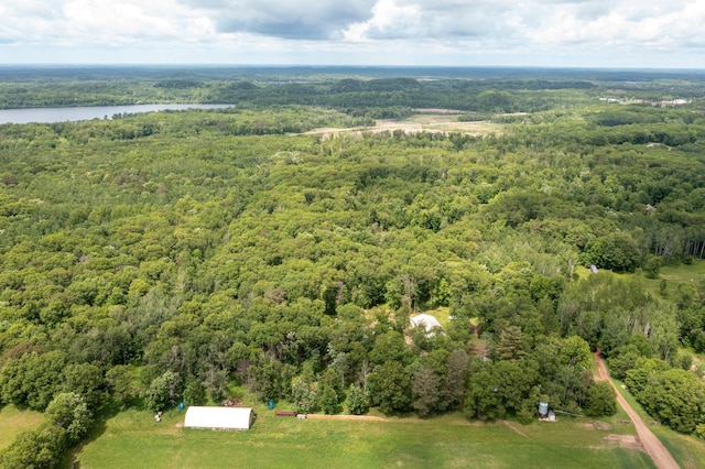 19214 County Road 12, Irondale Twp, MN 56455 - aerial view of a forest and a nearby body of water