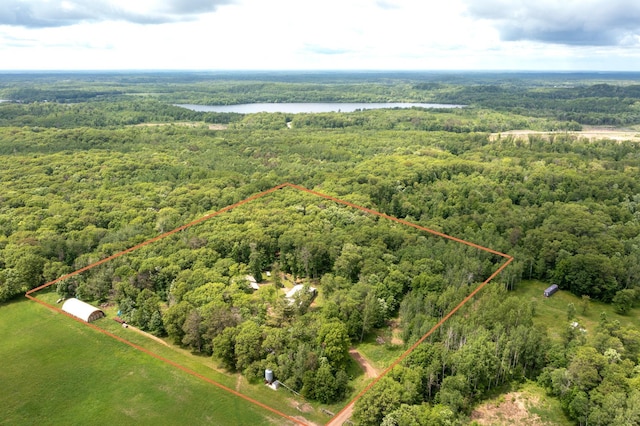 19214 County Road 12, Irondale Twp, MN 56455 - view of property location featuring a forest, a large body of water, and property boundaries highlighted