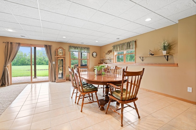 721 Acacia Dr S, Annandale, MN 55302 - photo 21