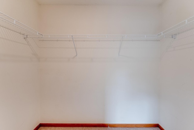 7539 Derby Ln, Shakopee, MN 55379 - walk in closet featuring carpet floors