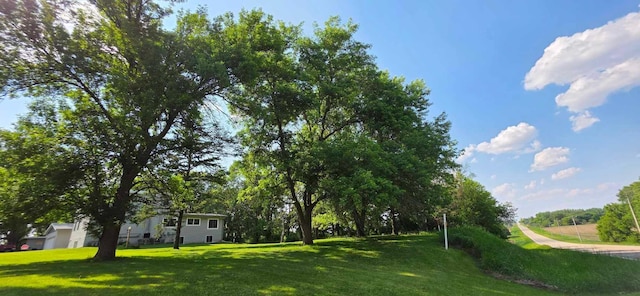 17548 749th Ave, Albert Lea Twp, MN 56007 - view of green lawn