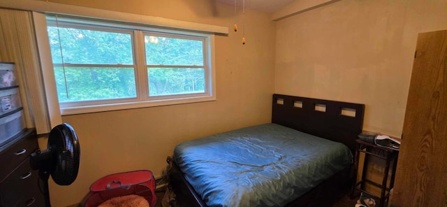 17548 749th Ave, Albert Lea Twp, MN 56007 - view of bedroom