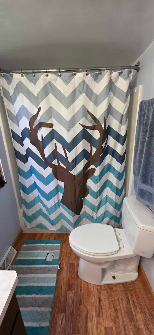 17548 749th Ave, Albert Lea Twp, MN 56007 - bathroom featuring toilet, wood finished floors, vanity, and a shower with shower curtain