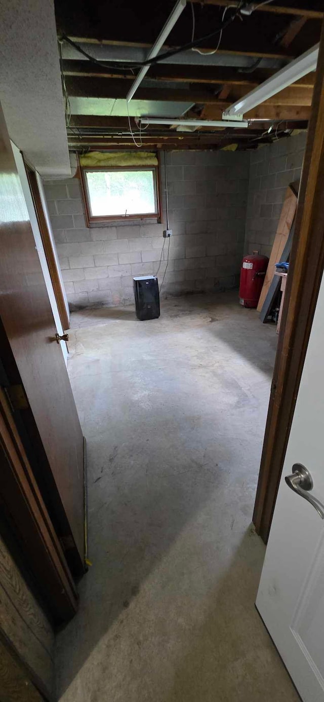 17548 749th Ave, Albert Lea Twp, MN 56007 - below grade area featuring concrete block wall