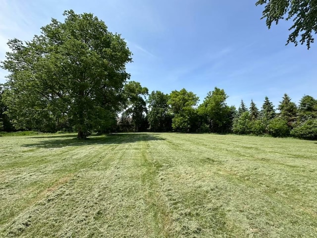 29281 Biehn Dr, Madison Lake, MN 56063 - photo 2
