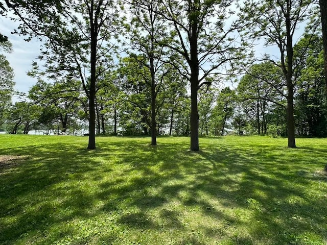 29281 Biehn Dr, Madison Lake, MN 56063 - photo 8