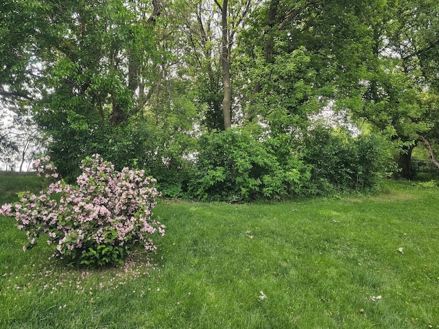 3657 46th Ave NW, Rochester, MN 55901 - view of yard