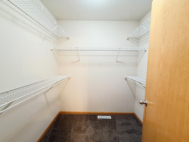 3100 212th St W, Farmington, MN 55024 - spacious closet with carpet flooring