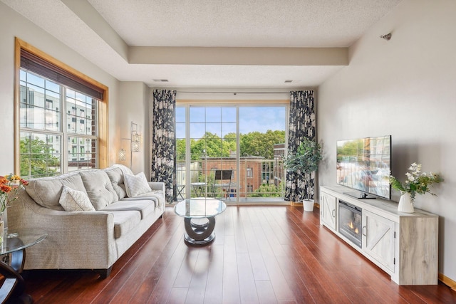 3310 Nicollet Ave Unit 302, Minneapolis, MN 55408 - living area with dark wood-type flooring and a textured ceiling
