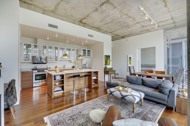 901 2nd St Unit 905, Minneapolis, MN 55415 - living room featuring track lighting and dark wood-type flooring