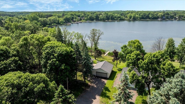 9803 287th Ave NW, Zimmerman, MN 55398 - view of subject property with a forest and a nearby body of water