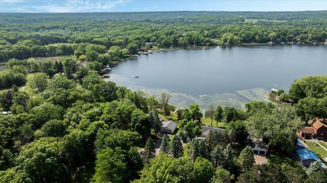 9803 287th Ave NW, Zimmerman, MN 55398 - drone / aerial view of a forest and a large body of water