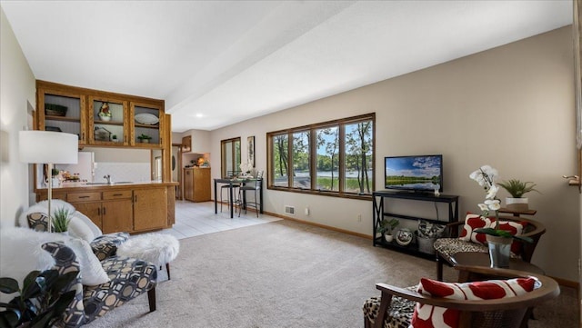 9803 287th Ave NW, Zimmerman, MN 55398 - living room featuring light colored carpet and baseboards