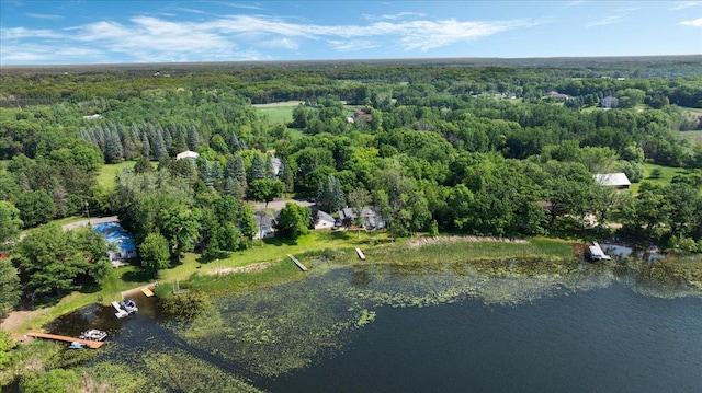 9803 287th Ave NW, Zimmerman, MN 55398 - aerial view of a forest and a nearby body of water