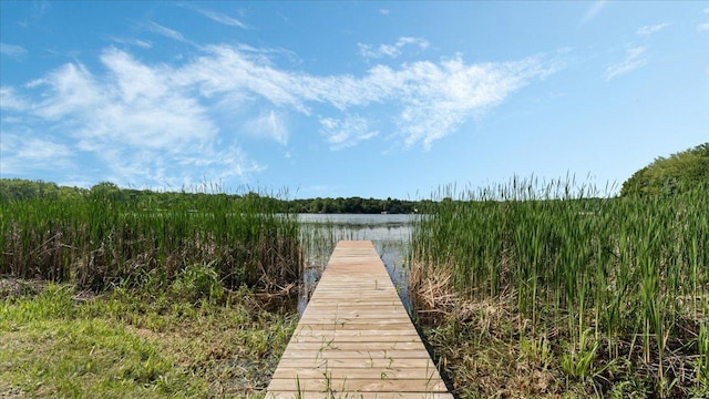 9803 287th Ave NW, Zimmerman, MN 55398 - dock with a water view