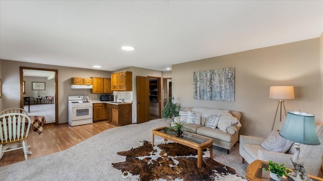 9803 287th Ave NW, Zimmerman, MN 55398 - living area with light wood finished floors and recessed lighting