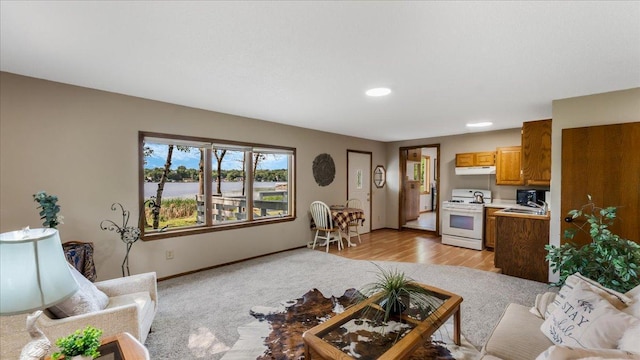 9803 287th Ave NW, Zimmerman, MN 55398 - living area with recessed lighting, baseboards, a water view, and light wood-style flooring