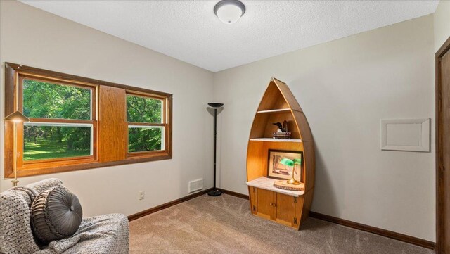 9803 287th Ave NW, Zimmerman, MN 55398 - living area featuring light colored carpet, baseboards, and a textured ceiling