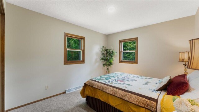 9803 287th Ave NW, Zimmerman, MN 55398 - carpeted bedroom with baseboards