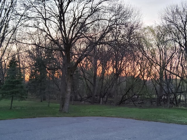 9803 287th Ave NW, Zimmerman, MN 55398 - yard at dusk with a yard