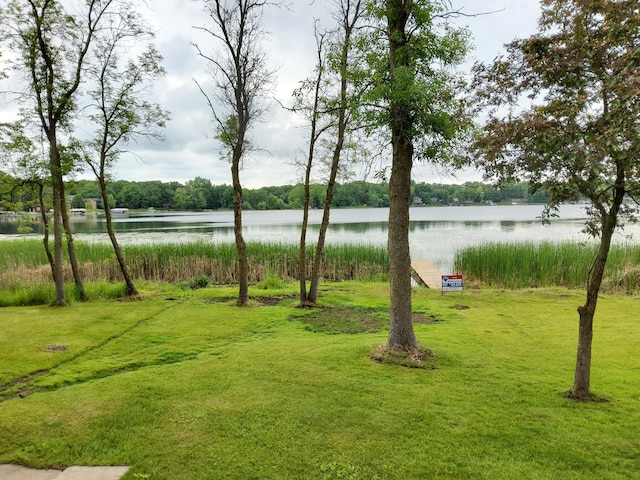 9803 287th Ave NW, Zimmerman, MN 55398 - view of yard featuring a water view