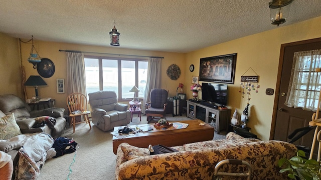 306 Main St, West Concord, MN 55985 - photo 6