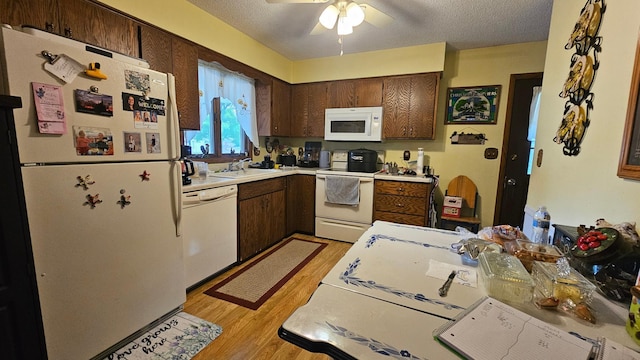 306 Main St, West Concord, MN 55985 - photo 9