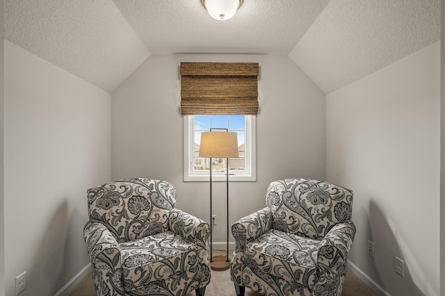 8738 Upper 9th Pl N, Lake Elmo, MN 55042 - sitting room featuring a textured ceiling, vaulted ceiling, carpet, and baseboards