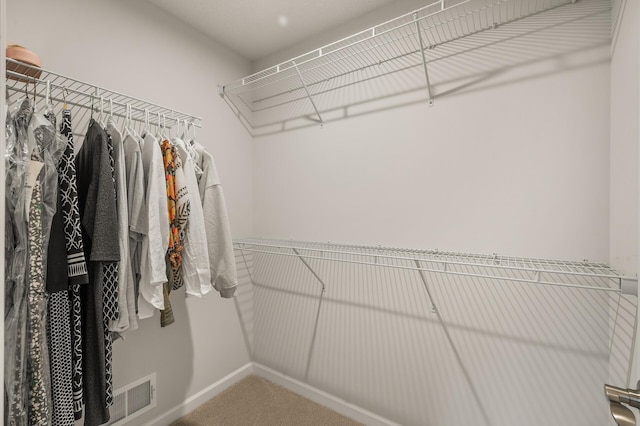 8738 Upper 9th Pl N, Lake Elmo, MN 55042 - walk in closet featuring carpet flooring