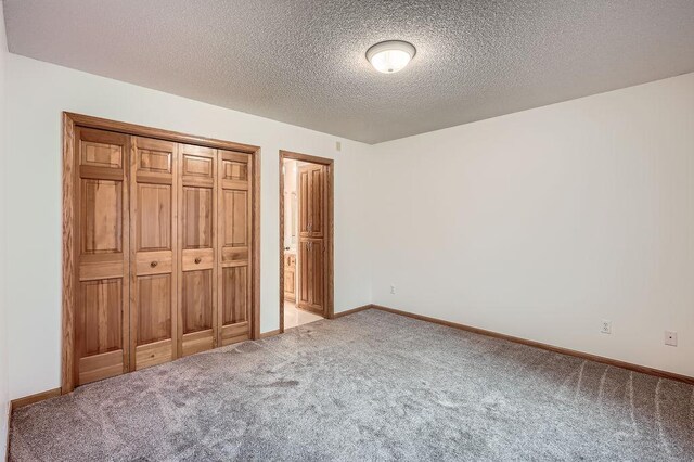 1584 126th Ln NW, Coon Rapids, MN 55448 - unfurnished bedroom with carpet floors, a textured ceiling, and a closet