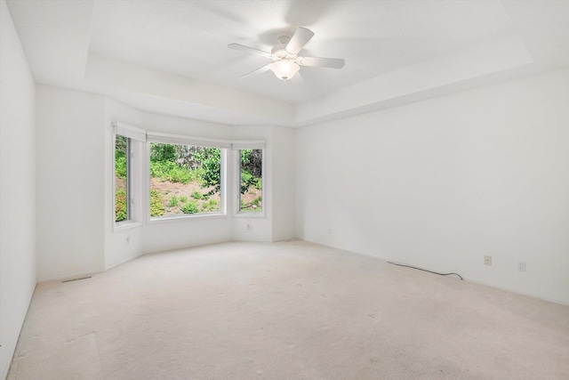 5555 70th St, Edina, MN 55439 - unfurnished room with a ceiling fan, carpet, and a tray ceiling
