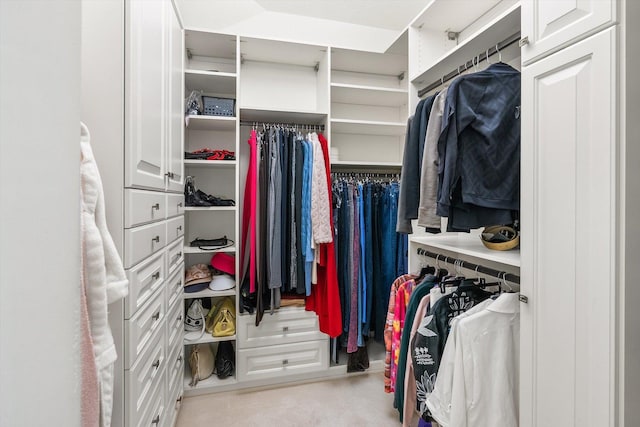 5555 70th St, Edina, MN 55439 - view of spacious closet